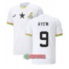 Oficiální Fotbalový Dres Ghana Ayew 9 Domácí Jordan Mistrovství Světa 2022 pro Muži